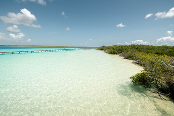 Vista de un muelle en la laguna de bacalar rodeado de manglares, cerca de Cancún, Riviera maya México © Diego Iván