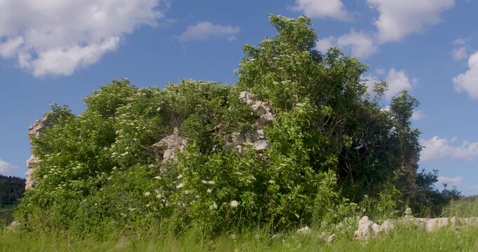 Ancient stone building ruins partially concealed by dense vegetation and shrubs in rural Bosnia and Herzegovina. The crumbling masonry and encroaching plant life illustrate abandonment, history, and t