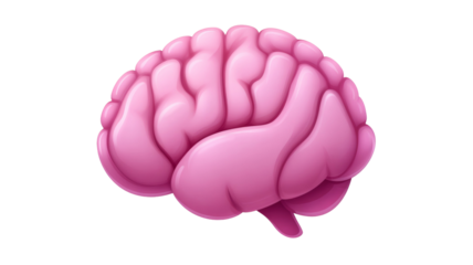 Pink cartoon brain with detailed grooves on transparent background