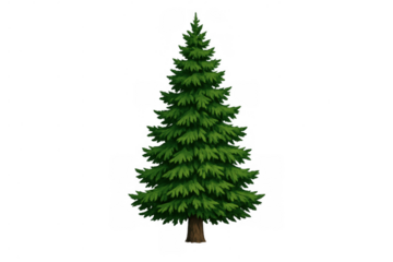 Green evergreen spruce tree illustration with transparent background, design element for forest and nature concepts