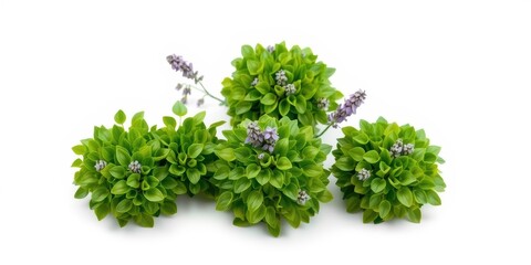Naklejka premium Artificial Green Floral Arrangement with Lavender Flowers