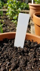Blank white plastic plant tag in terracotta pot with rich soil &ndash; garden label mockup for seedlings or herbs