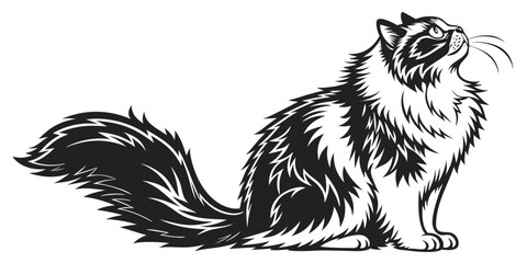 Elegant Black and White Stylized Cat Vector Illustration with Fluffy Tail