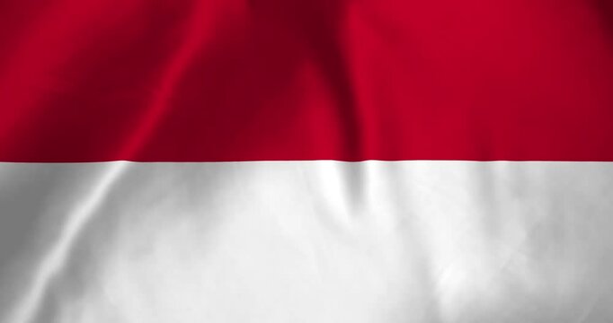 The monaco flag waving with the wind background loop video animation