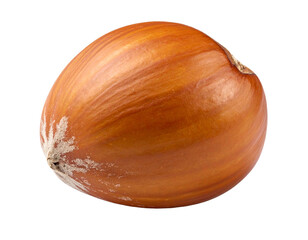 Isolated raw brown onion with transparent background for design