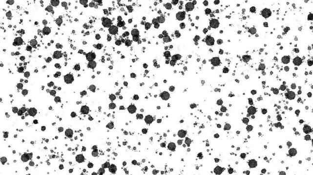 黒いインクを激しく撒き散らしたスパッタリングのペイント背景。手書きのグランジテクスチャの4Kループアニメーション。アートワークやプロモーションに適したレトロでビンテージな印象の映像素材