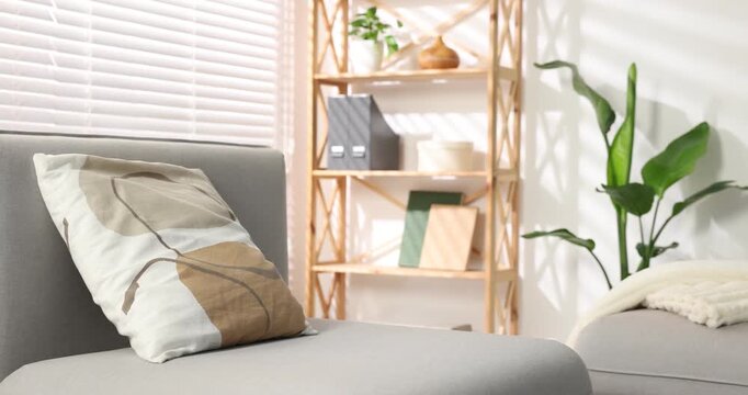 Beautiful bird of paradise (strelitzia) houseplant near light wall in room