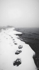 Solitary Footprints on Snow-Covered Shoreline in a Winter Landscape Serenity