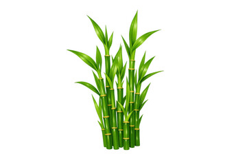 Obraz premium Green bamboo shoots with leaves, symbolizing nature, growth, and relaxation, isolated on transparent background
