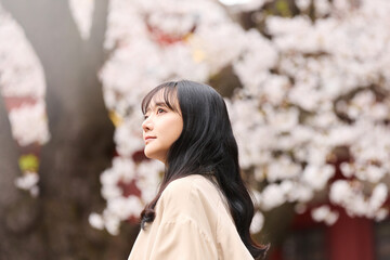 花見をする若いアジアの女性のポートレート © K-Angle
