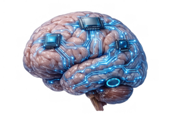 Human brain integrating advanced computer chips and illuminated neural pathways, symbolizing ai, machine learning and cybernetics
