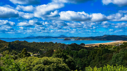 Tutukaka (January 12th, 2026)