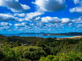 Tutukaka (January 12th, 2026)