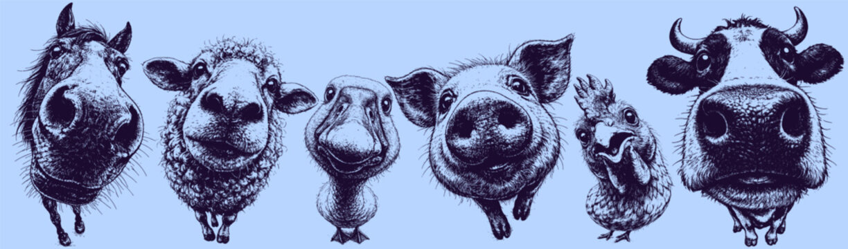 Black and white vector banner with fisheye farm animal heads, xerography engraving style, humorous high contrast illustration for prints and engraving.