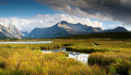 Fototapeta premium Marais Et Montagne