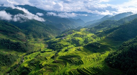 Fototapeta premium Sunlit Emerald Rice Terraces Etched into Steep Mountain Slopes, Dramatic Cloudy Asian Valley.