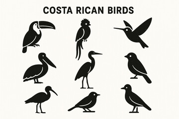 Fototapeta premium Costa Rican Birds Icon Grid with Tropical Species and Textured Vector Style