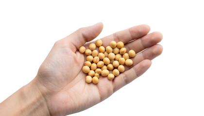 Fototapeta premium Close-up of a hand grasping soybeans on a transparent background, emphasizing their use in vegan and healthy cooking