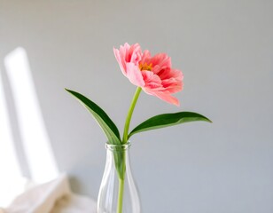 Single Pink Tulip in Clear Glass Bottle on Neutral Surface