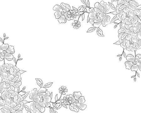 Elegant Hand Drawn Peony Floral Border