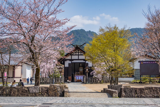 日本の岐阜の飛騨古川の春の桜と神社の起し太鼓の風景