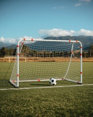 Soccer goal with ball on field