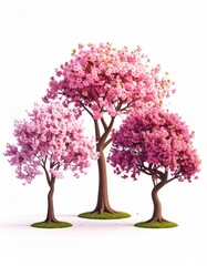 Obraz premium Three blooming trees with pink flowers on white background