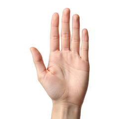 A human hand with fingers extended, palm facing upwards.