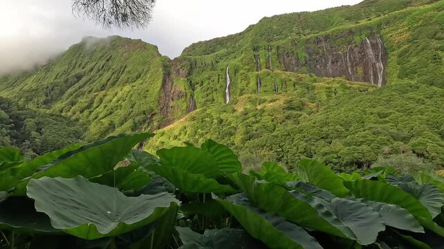 Waterfalls and lush cliffs at Poco da Ribeira do Ferreiro (Alagoinha), one of the most iconic natural sites on Flores Island, Azores, Portugal