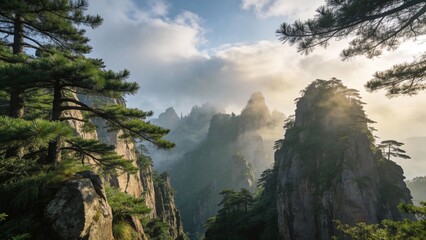 Mountain landscape with pine trees and mist