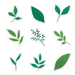 Green leaves sticker collection transparent png