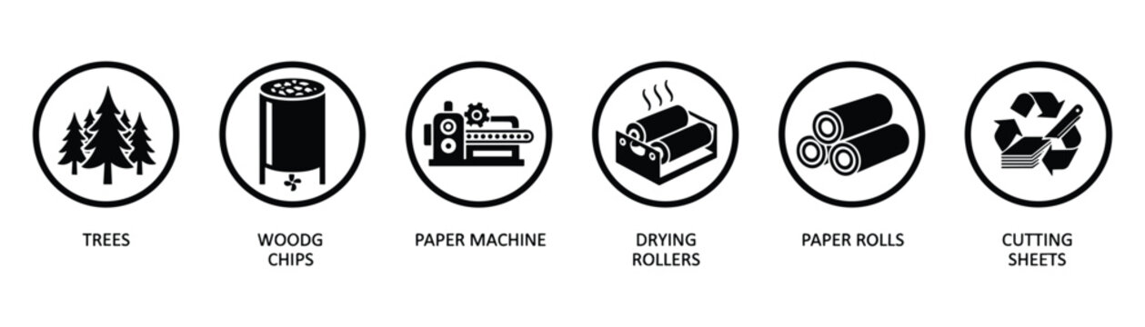 Paper production process vector concept from trees to cutting and recycling sheets infographic diagram
