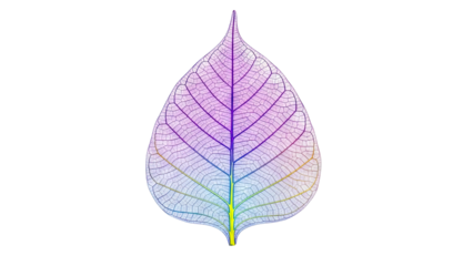 Skeletonized Leaf with Gradient Color Overlay
