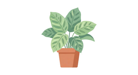 Fototapeta premium Flat Vector Potted Houseplant Illustration