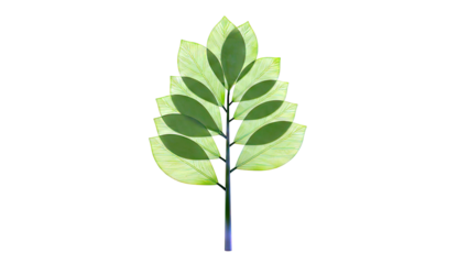 Stylized Green Tree with Overlapping Leaves
