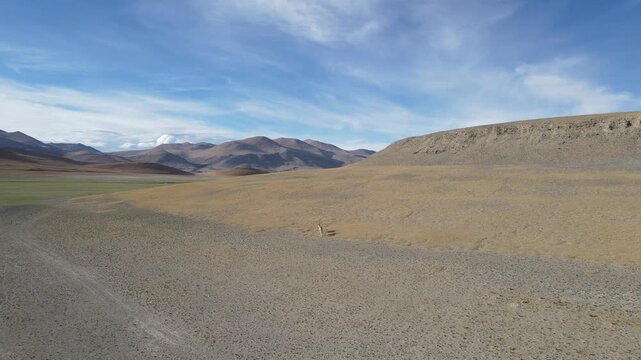 Aerial Forward Push Over Herd of Tibetan Wild Ass in High Plateau Desert, Ngari Tibet, China
