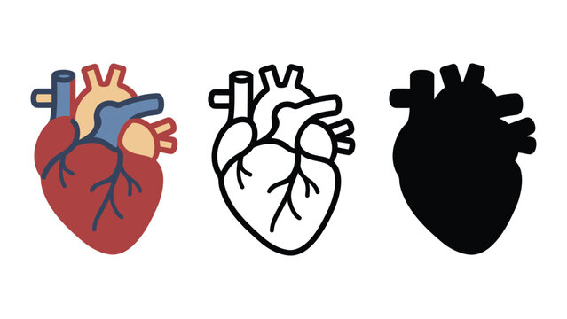 Three different illustrations of the human heart in various styles and colors