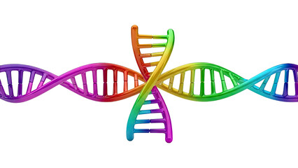Colorful Intertwined DNA Double Helix Structures
