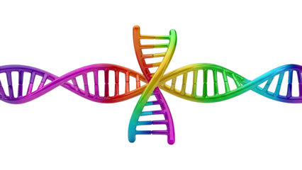 Colorful Intertwined DNA Double Helix Structures