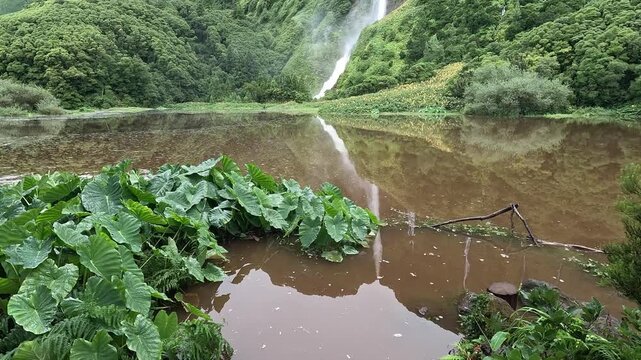 Multiple waterfalls cascade down steep volcanic cliffs after heavy rain at Poco da Ribeira do Ferreiro, Flores Island, Azores, Portugal