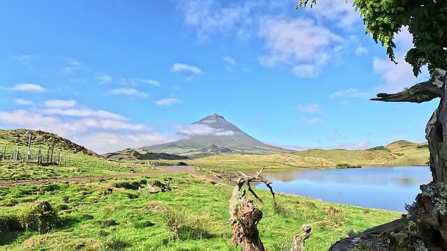 A sculpted juniper frames a quiet volcanic lake, Pico Island, Azores, Portugal