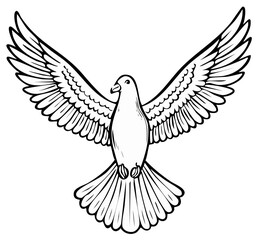 Obraz premium Open Winged Dove Line Drawing Illustration