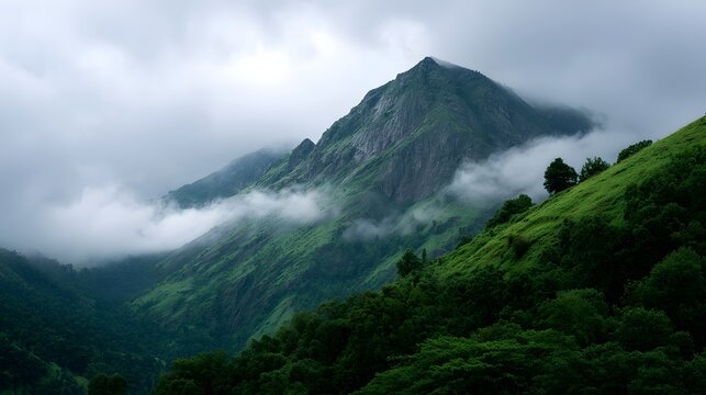 A majestic mountain range shrouded in mist with lush green slopes and trees - Powered by Adobe