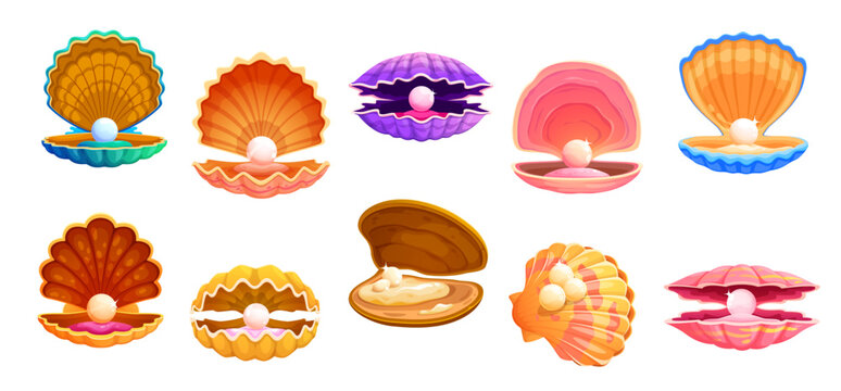 Cartoon pearl shell scallop, oyster or clam, isolated vector seashells set. Open sea shells of marine shellfish animals, color seashells with precious pearls inside. Underwater treasure gems set