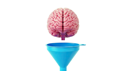 Brain with Funnel