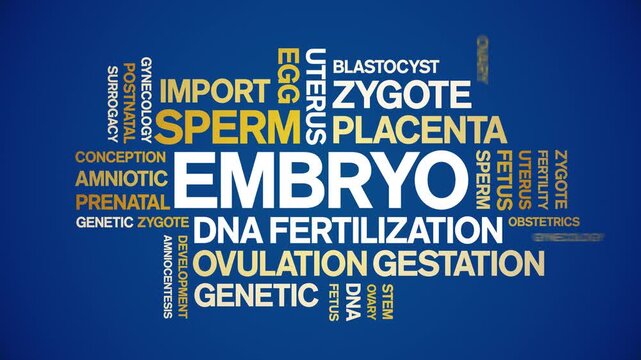 Embryo animated word cloud-text design animation tag kinetic typography seamless loop.