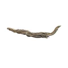 A dried and twisted piece of wood against a solid black background