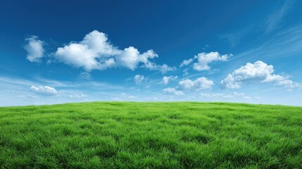 Fototapeta premium Lush Green Grass Field Under Bright Blue Sky with Fluffy White Clouds in Serene Natural Landscape Generating Peaceful and Tranquil Atmosphere for Nature Lovers