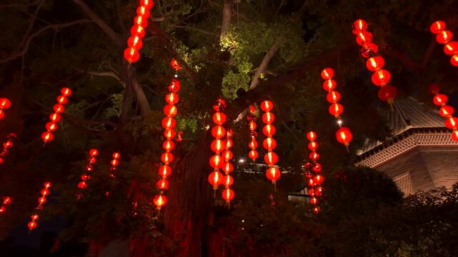 red lanterns hanging from old trees illuminate the waterfront, creating a warm nighttime atmosphere in the historic Lychee Bay area.