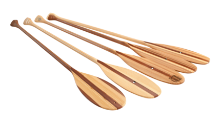 Collection of wooden canoe paddles with contrasting wood grain patterns isolated on a transparent background